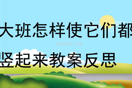 大班科學公開課怎樣使它們都豎起來教案反思
