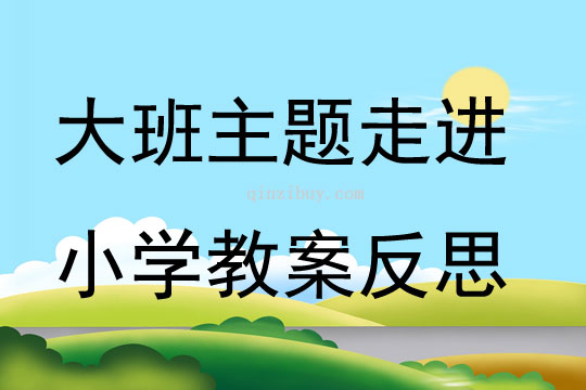大班主題公開課走進小學教案反思