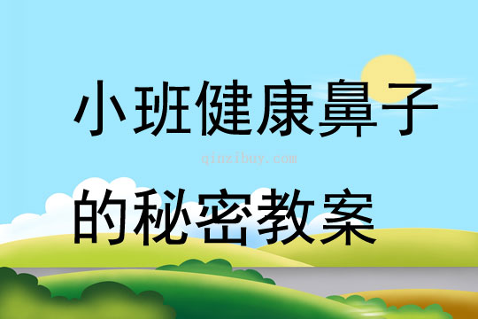 小班健康鼻子的秘密教案