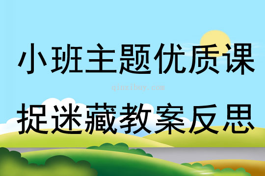 小班主題優質課捉迷藏教案反思