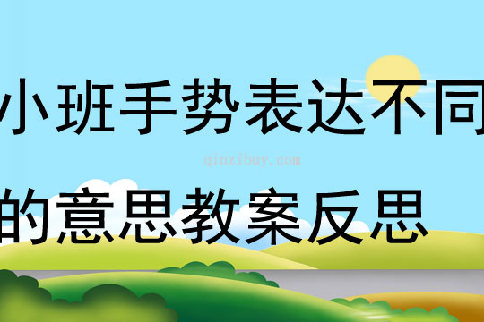 小班社會學(xué)會使用手勢表達不同的意思教案反思