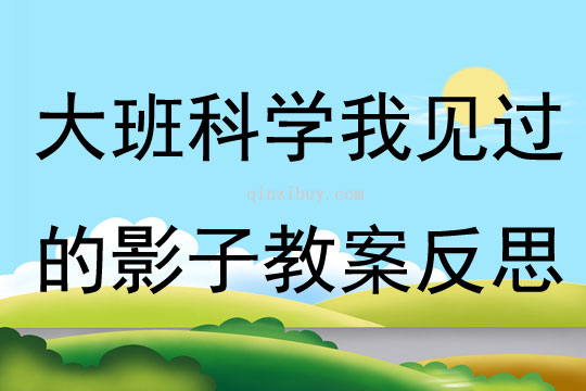大班科學我見過的影子教案反思