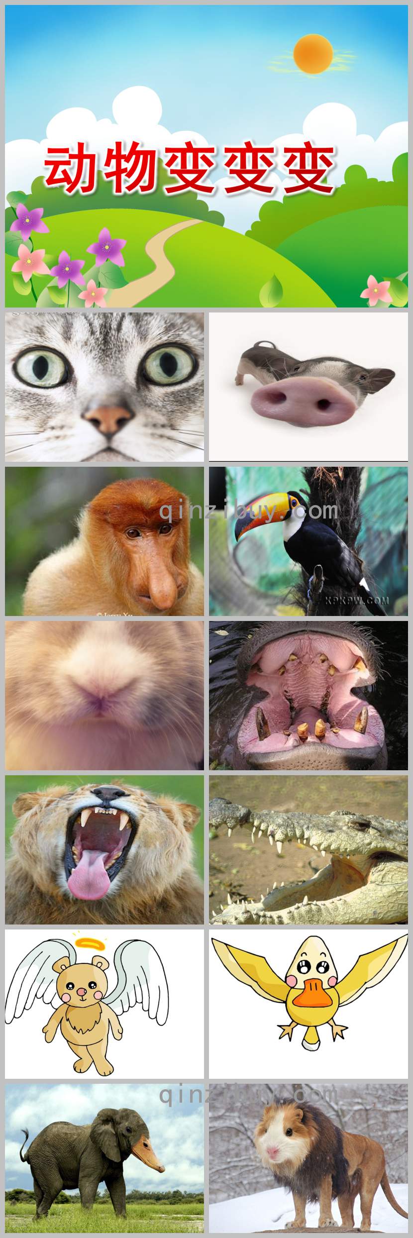 小班藝術健康動物變變變PPT課件教案