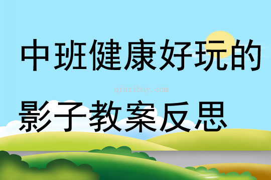 中班健康好玩的影子教案反思