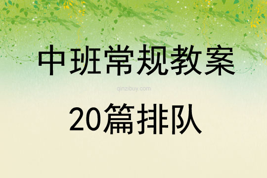 中班常規(guī)教案20篇排隊(duì)