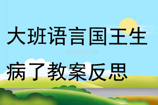 大班語言優質課國王生病了教案反思