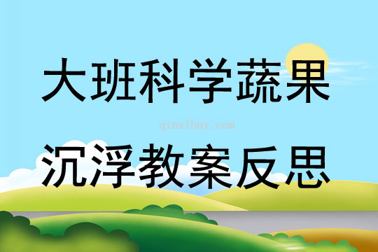 大班科學公開課蔬果沉浮教案反思