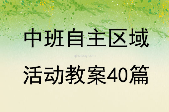 中班自主區(qū)域活動教案40篇