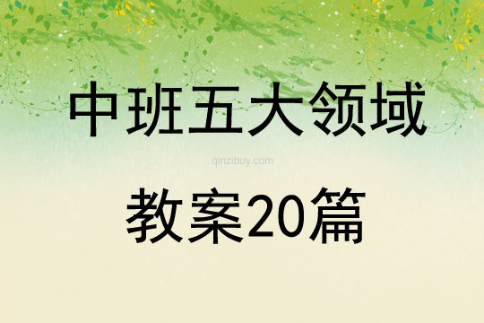 中班五大領域教案20篇