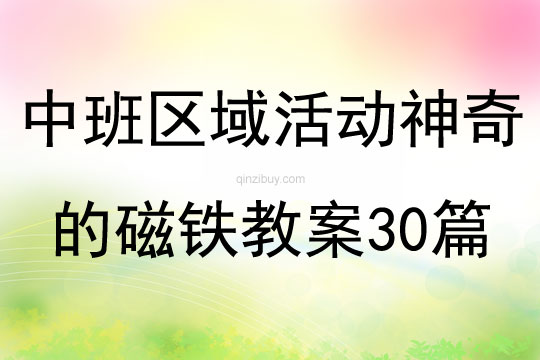 中班區域活動神奇的磁鐵教案30篇