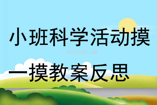 小班科學(xué)活動摸一摸教案反思