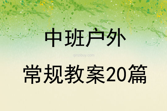 中班戶外常規教案20篇