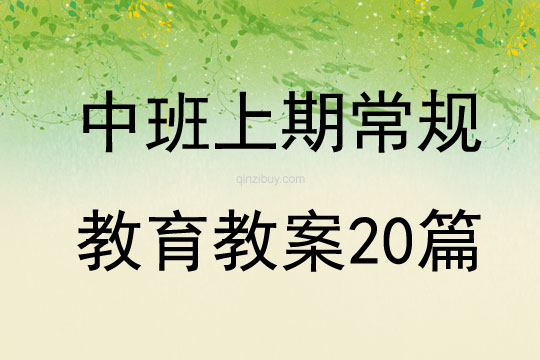中班上期常規教育教案20篇