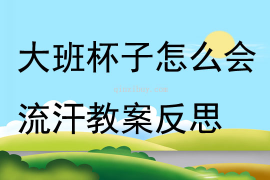 大班科學(xué)杯子怎么會流汗教案反思