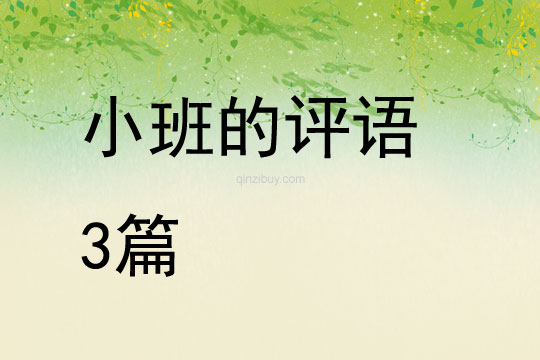 小班的評語3篇