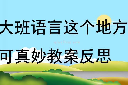 大班語言這個地方可真妙教案反思