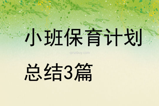 小班保育計劃總結3篇