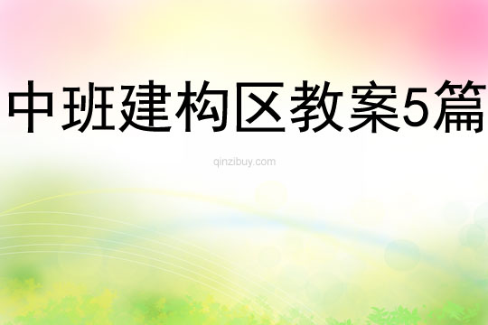 中班建構(gòu)區(qū)教案5篇