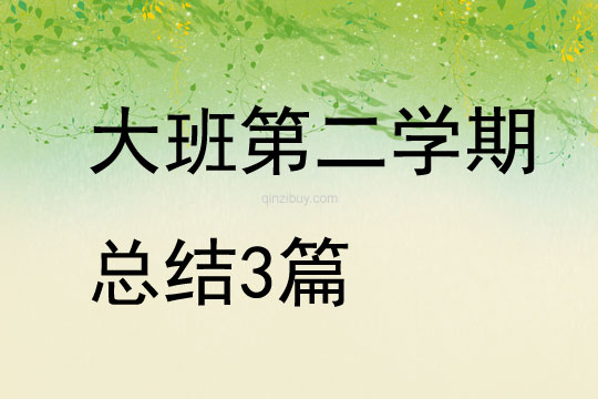 大班第二學期總結3篇