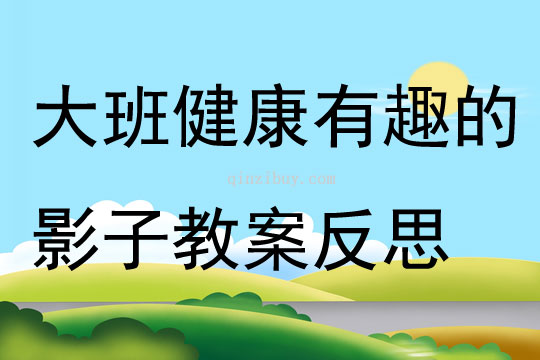 大班健康有趣的影子教案反思