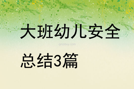 大班幼兒安全總結(jié)3篇