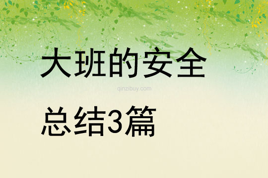大班的安全總結3篇