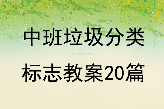 中班垃圾分類標志教案20篇
