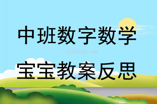 中班數(shù)字數(shù)學寶寶教案反思