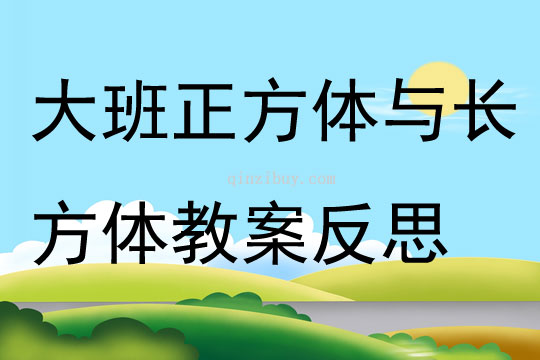 大班數(shù)學(xué)正方體與長(zhǎng)方體教案反思
