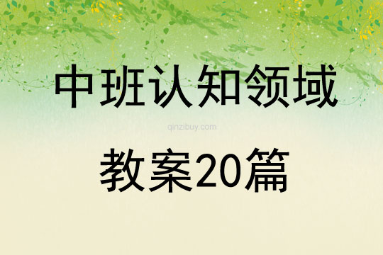 中班認知領域教案20篇