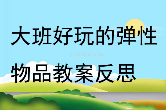 大班數學好玩的彈性物品教案反思