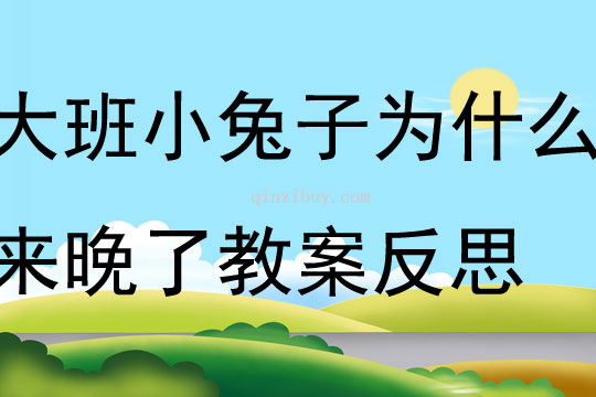 大班主題小兔子為什么來晚了教案反思