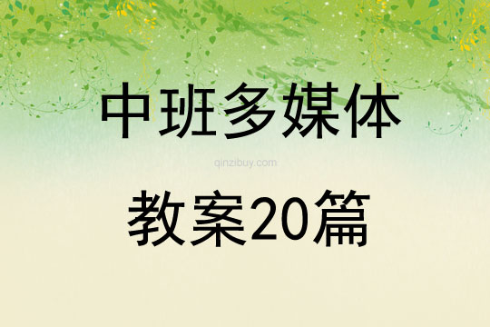 中班多媒體教案20篇
