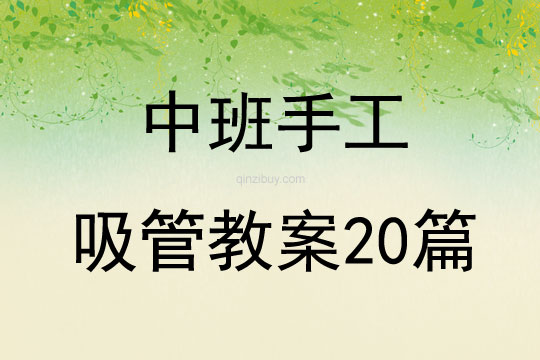 中班手工吸管教案20篇