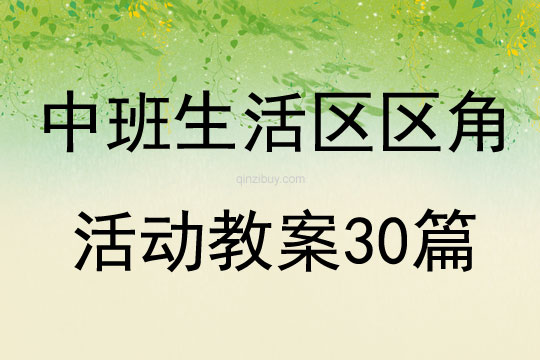 中班生活區區角活動教案30篇