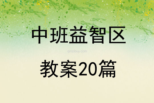 中班益智區教案20篇