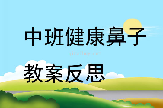 中班健康鼻子教案反思