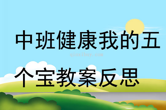 中班健康我的五個寶教案反思