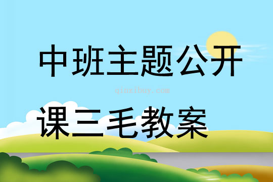 中班主題公開課三毛教案反思