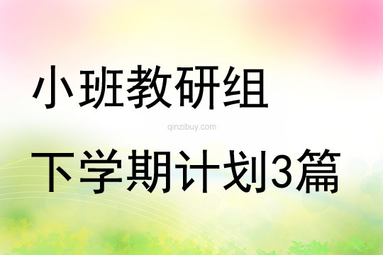 小班教研組下學期計劃3篇