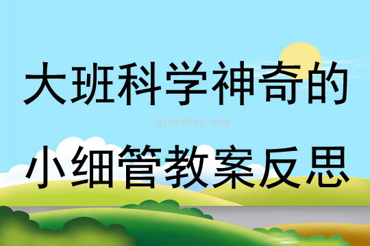 大班科學公開課神奇的小細管教案反思