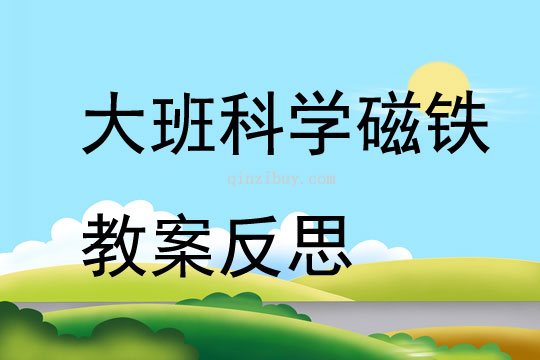 大班科學磁鐵教案反思