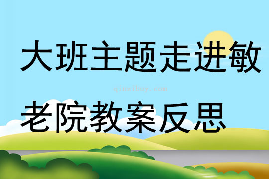 大班主題走進敏老院教案反思