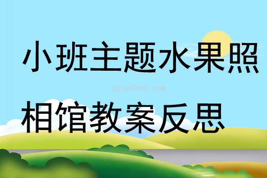 小班主題水果照相館教案反思