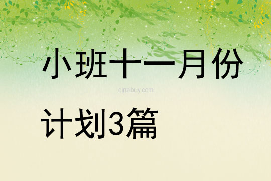 小班十一月份計劃3篇