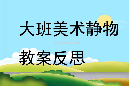 大班美術靜物教案反思