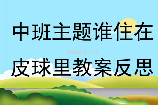 中班主題誰(shuí)住在皮球里教案反思