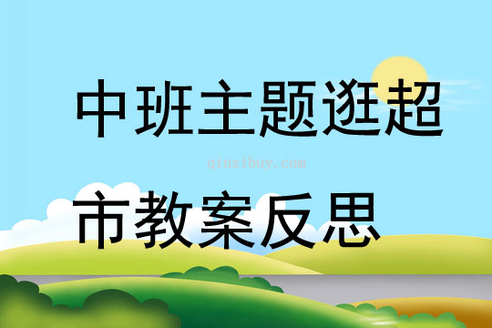 中班主題逛超市教案反思