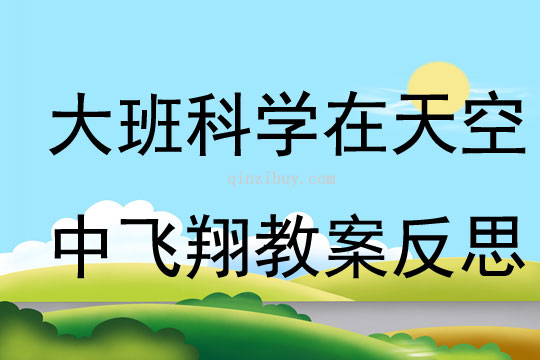 大班科學(xué)在天空中飛翔教案反思
