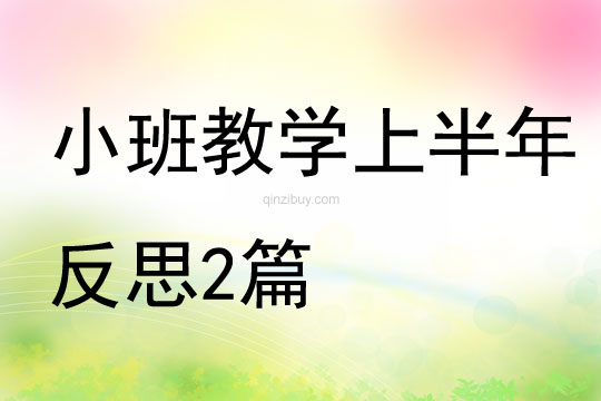 小班教學(xué)上半年反思2篇